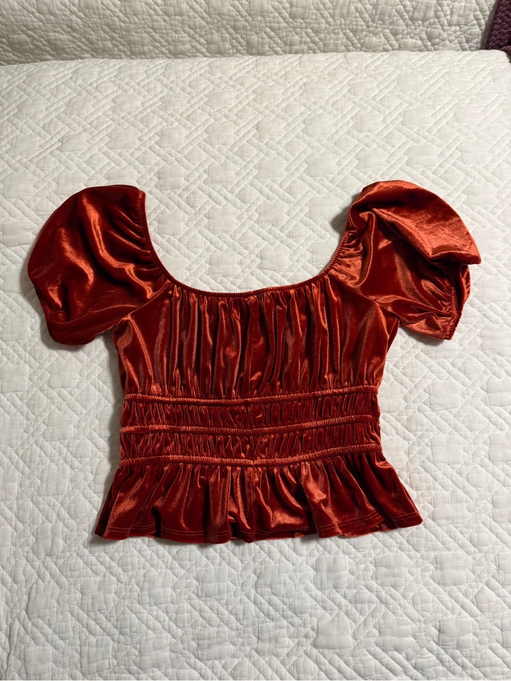 Copper Puff Sleeve Velvet Top